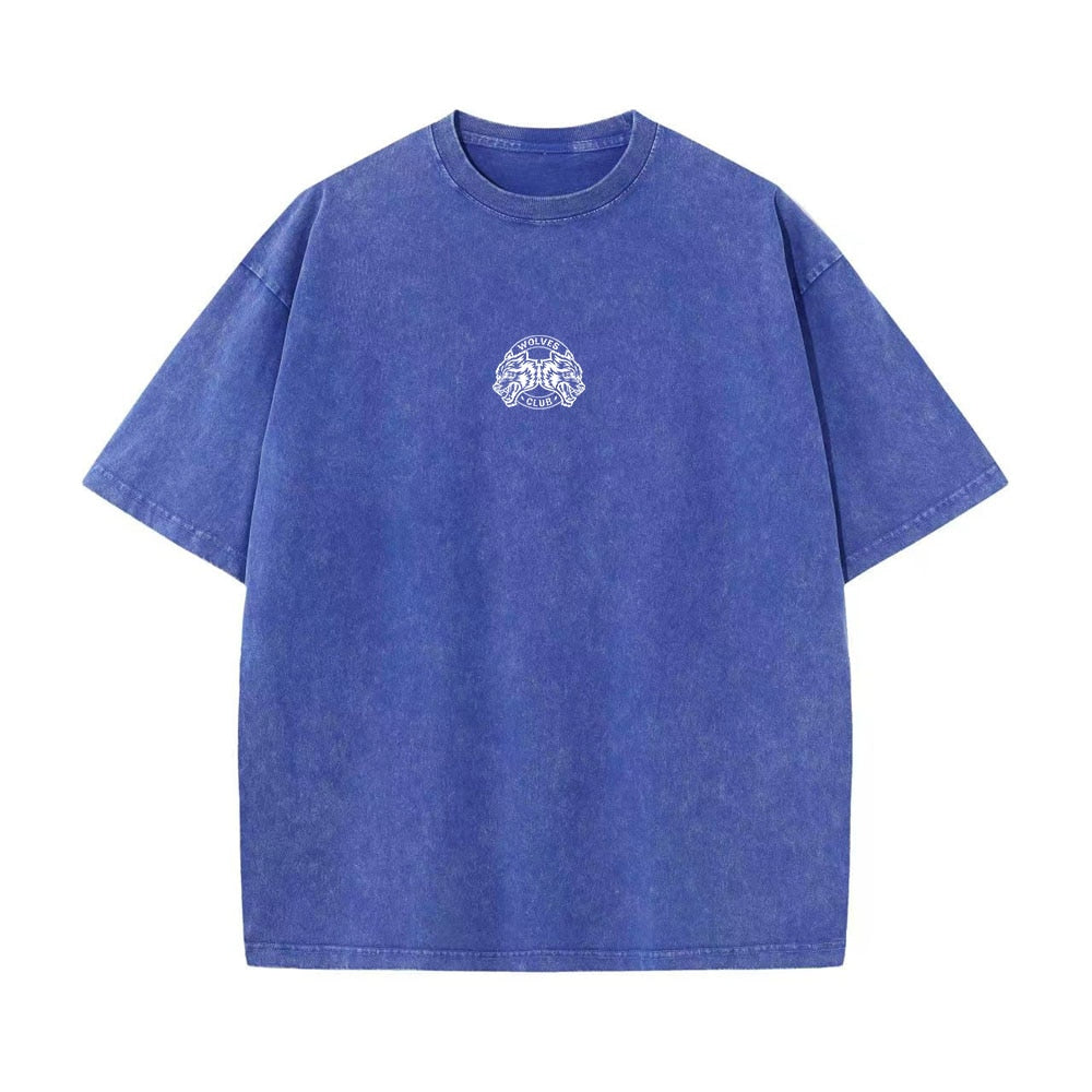 DARC SPORT Washed Vintage
